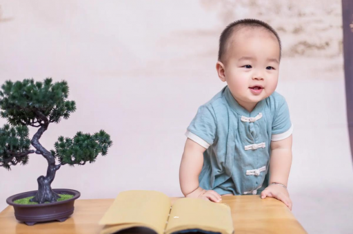 当阳可爱的企鹅宝宝
